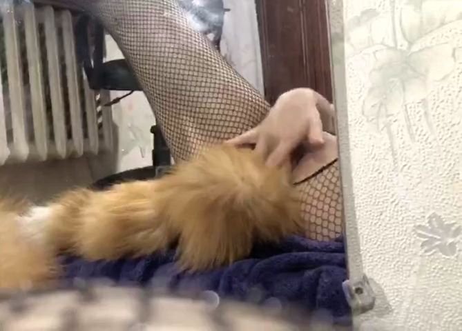 Sassinator Steph in adult circumcition — leaked adult video
