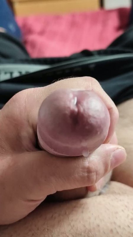 penis picture plastic surgery