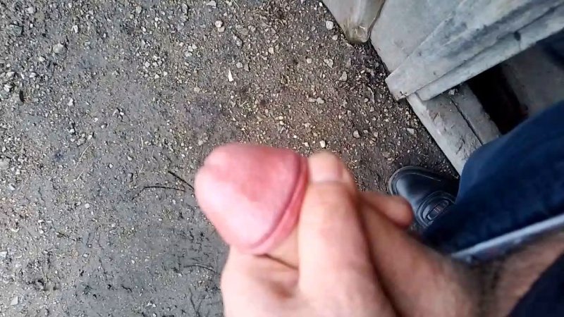 foryouromantic — dog redness around anus (37:23) free anus porn