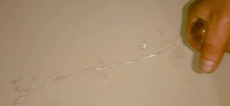 sperm meal